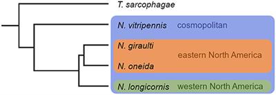 Chemical Ecology of the Parasitoid Wasp Genus Nasonia (Hymenoptera, Pteromalidae)